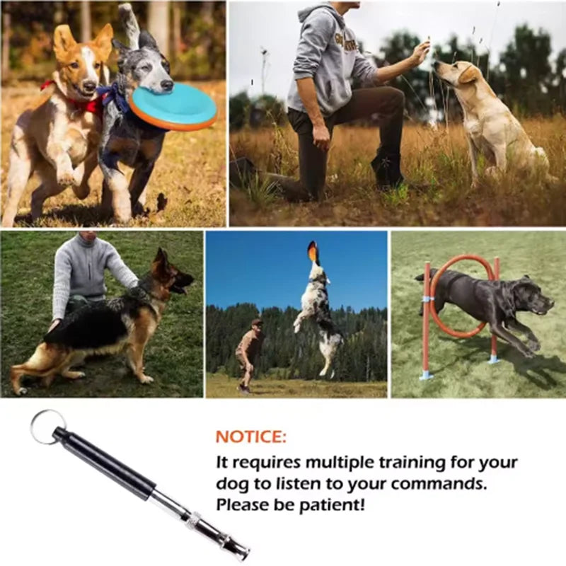Hot Ultrasonic Dog Flute Training Dog Whistle Dog Training Dog Training Pigeon Flute Pigeon Training Pigeon Pet Whistle